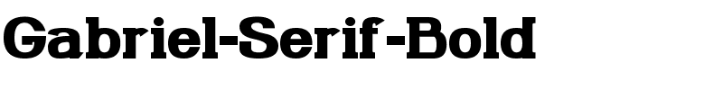 Gabriel-Serif-Bold.ttf