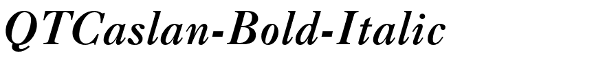 QTCaslan-Bold-Italic.ttf