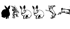 Rabbit.ttf