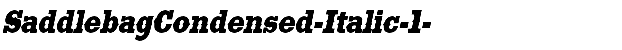 SaddlebagCondensed-Italic-1-.ttf