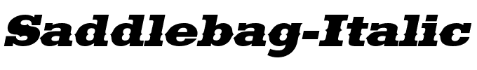 Saddlebag-Italic.ttf