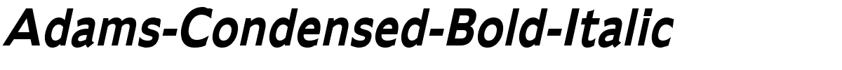 Adams-Condensed-Bold-Italic.ttf