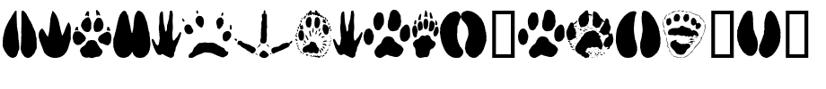 AnimalTracks-copy-3-.ttf