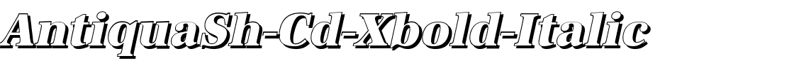 AntiquaSh-Cd-Xbold-Italic.ttf