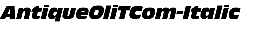 AntiqueOliTCom-Italic.ttf