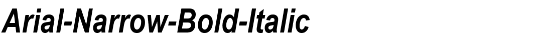 Arial-Narrow-Bold-Italic.ttf