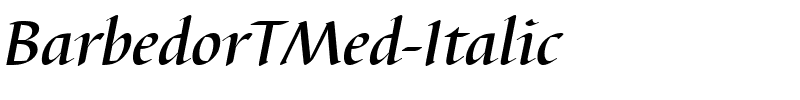 BarbedorTMed-Italic.ttf