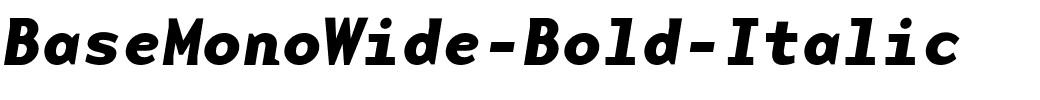 BaseMonoWide-Bold-Italic.ttf