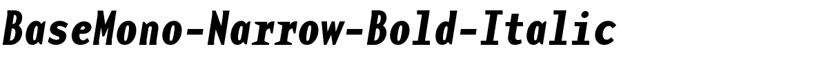 BaseMono-Narrow-Bold-Italic.ttf