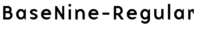 BaseNine-Regular.ttf