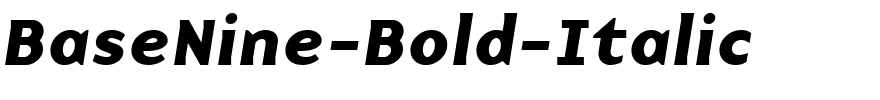 BaseNine-Bold-Italic.ttf