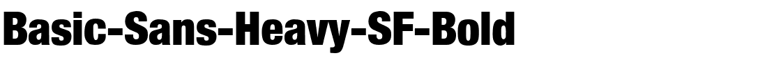 Basic-Sans-Heavy-SF-Bold.ttf