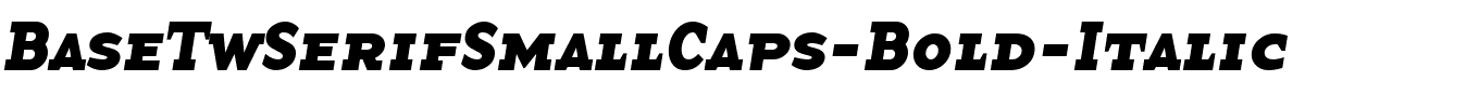 BaseTwSerifSmallCaps-Bold-Italic.ttf