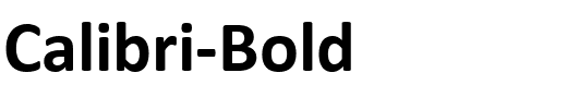 Calibri-Bold.ttf